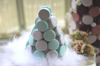 マカロンタワー Lesson